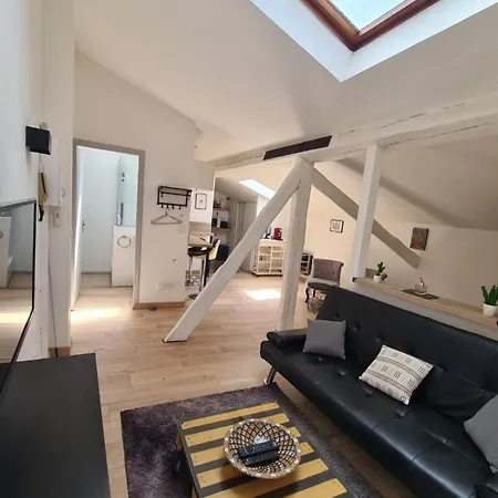 Apartment Under The Roof Ideal For 2 In Toulouse